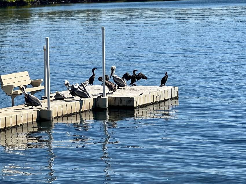 327 3rd St Dr W #11 a Palmetto, FL Mobile or Manufactured Home for Sale